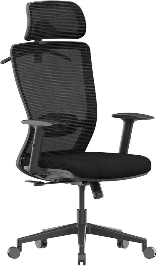 FLEXISPOT Ergonomic Office Chair, High Back Home Office Desk Chairs with Adjustable Lumbar Support, Armrests,90-130° Tilt Lock, Comfort Wide Cushion, Swivel Computer Gaming Chairs for Adults (Black)