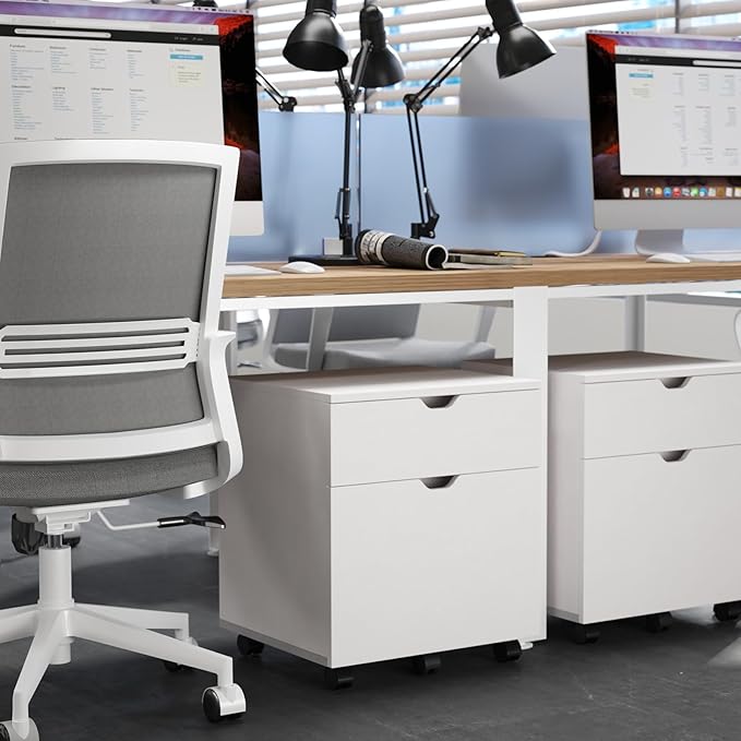 HollyHOME 2-Drawer Wood File Cabinet, Under Desk Cabinet for Home Office, Rolling Storage Shelf for Home, Printer Stand, for A4, Letter-Size, 11.8in Hanging File Folders, White