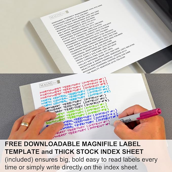 Ultimate Office MagniFile Insertable Hanging File Folder Tabs. Indexes That Double The Size of Your File Titles to Find Files Fast! (Set of 20), Assorted