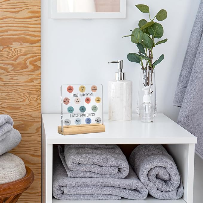 Therapy Office Decor, School Counselor Gifts, Mental Health Office Desk Decor, Gifts for Women Therapist Psychologist Counselors, Halloween Christmas Gift Things I Can Control Acrylic Sign