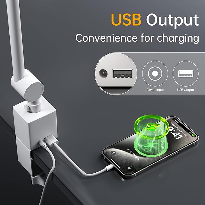 deeloop 2-Arms Swing Long LED Desk Lamp with Clamp, CRI 95+ Eye-Caring Light, USB Charging Output, 2-Hour Timer, Dimmable Desk Light with Memory, Architect Desk Lamps for Home Office Reading &Monitor