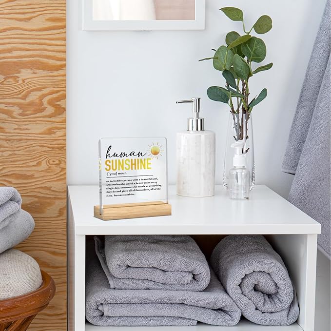 Office Decor for Women Coworker Gifts for Coworkers Sunshine Gifts for Women Leader Teacher Mentor, Human Sunshine Definition Motivational Acrylic Office Desk Decor