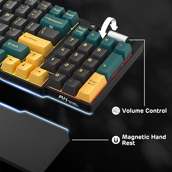 RK ROYAL KLUDGE RK96 RGB Limited Ed, 90% 96 Keys Wireless 3-Mode BT5.0/2.4G/USB-C Hot Swappable Mechanical Keyboard w/Wrist Rest, Volume Control, Software, Massive Battery, RK Viridian Switch
