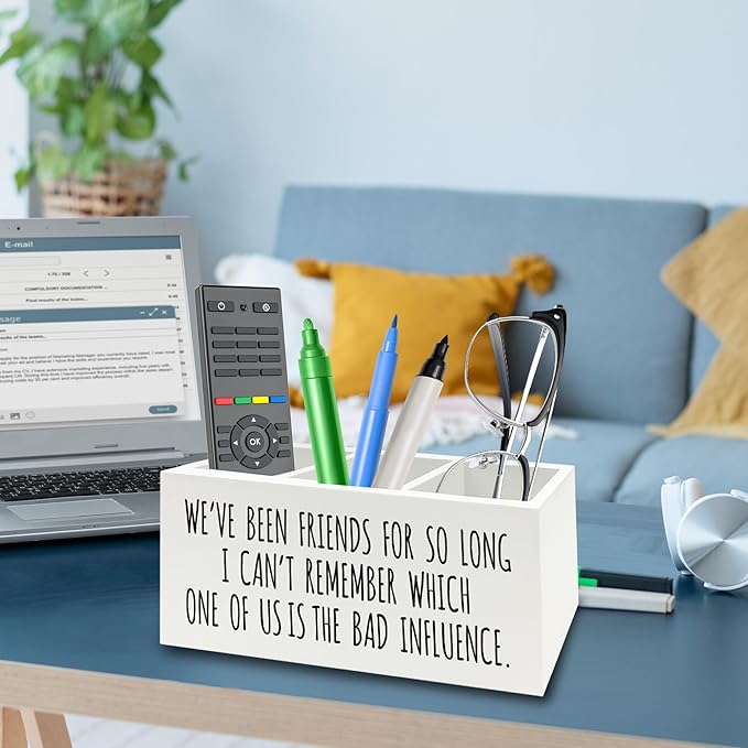 Funny Sarcastic Friendship Pen Pencil Holder Organizer for Desk, Humorous Gifts, We've Been Friends for So Long I Can't Remember Which Wooden Box Signs Decor for Home Office Desk Tabletop