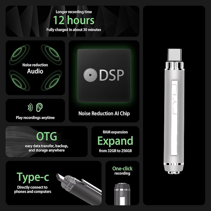 3 in1Luxury Rollerball Pen，USB-C，USB Flash Drive，with Pen Design, with Smooth Writing, Medium Point Black Ink，Portable Memory Stick, Compatible with Laptop,Smartphones (Silver, 64, GB)