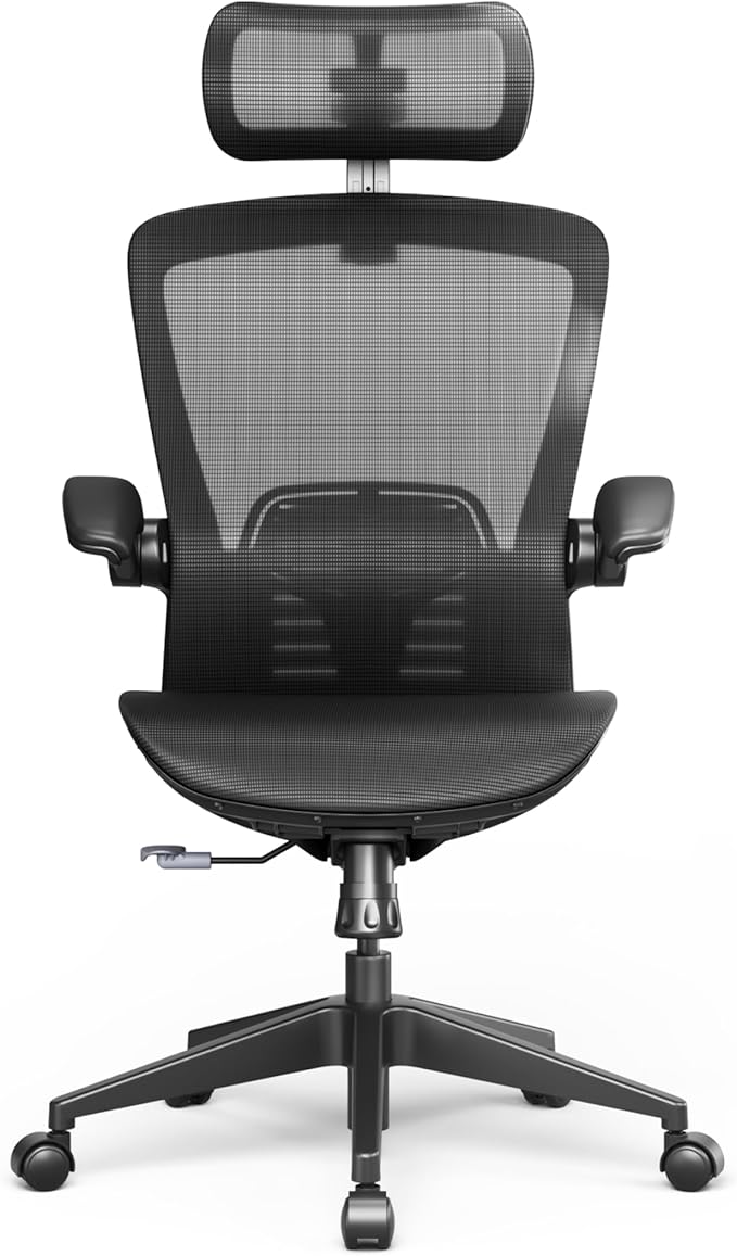 FLEXISPOT OC3-Pro Air Ergonomic Office Chair for Big and Tall Black, High Back Office Chair with Flip-up Arm/8-Level Lumbar Support, Mesh Seat Cushion, Chairs for Home Office Working Studying Gaming