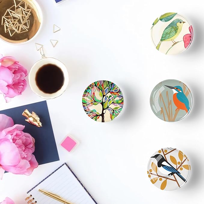 12Pcs Glass Refrigerator Magnet Fridge Sticker,Bird Fridge Magnets Decoration for Crafts,Strong Fridge Magnets for Kitchen, School,Office Whiteboard, Cabinet and Dishwasher