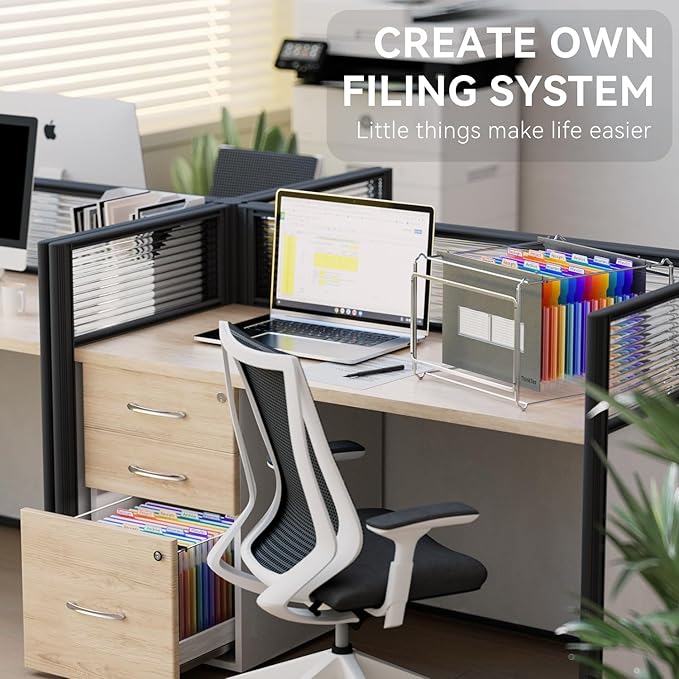 ThinkTex Plastic Expanding Hanging File Folders,12 Accordion Pockets,Large Capacity for Letter Size, Organizer for Filing Cabinet,Ideal for Tax,Contracts,Invoices,for Office,School-black-2set