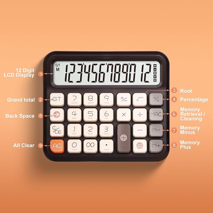 Pendancy Desk Calculator 12 Digit, Retro Cute Basic Calculator with Extra Large LCD Display and Buttons, for Office, School, Home Use