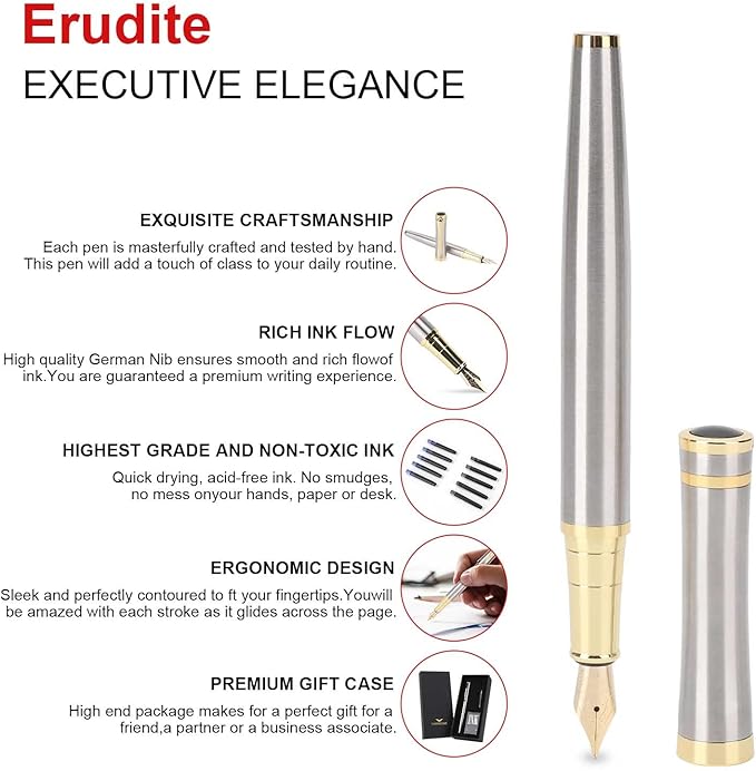 Cheericome Fountain Pen - Luxury Fountain pen set for Men & Women - Ink Pen for Smooth Writing - Fountain Pen Fine Nib，Includes 10 Ink Cartridges and Ink Refill Converter - Silver