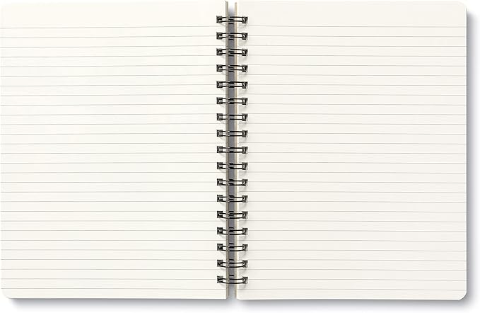 Compendium Spiral Notebook - Play All Day — A Designer Spiral Notebook with 192 Lined Pages, College Ruled, 7.5”W x 9.25”H