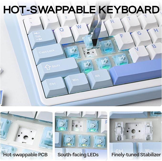 EPOMAKER TH99 Wireless Mechanical Keyboard with Lubed Silent Switch, Quiet Gaming Keyboard, 8000mAh,Creamy Gasket,RGB Backlit,Numpad,PBT Keycap,Hot Swappable,for Gamers/Office (Blue&White)