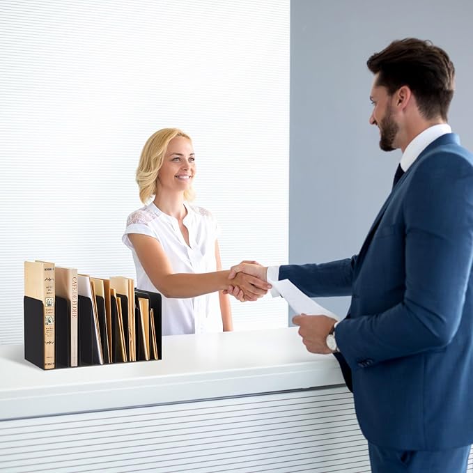 Suzile Metal Desk File Organizer 10 Compartments Metal Desktop Organizer File Sorter Office Organization File Holder for Home Classroom, Vertical File Organizer, 10.63" L X 5.79" W X 5.41" H