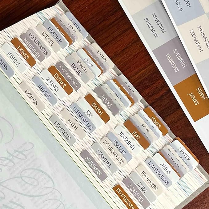 Thinkor Reposition Laminated Bible Tabs, Large Print Stickers, Easy to Read & Apply Bible Tabs for Women & Man (Winter Snow)