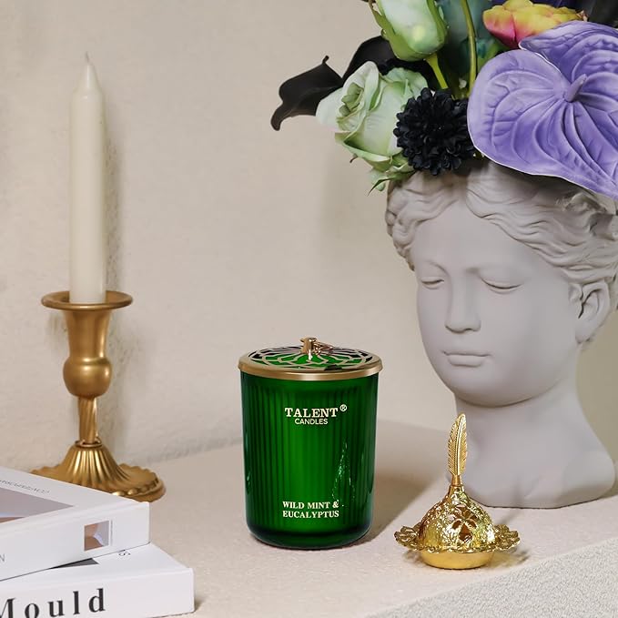 Jar Candles for Home Scented, Aromatherapy Candles Gifts for Women & Men, Natural Soy Candle, 8.4oz Traditional Style, Wild Mint & Eucalyptus