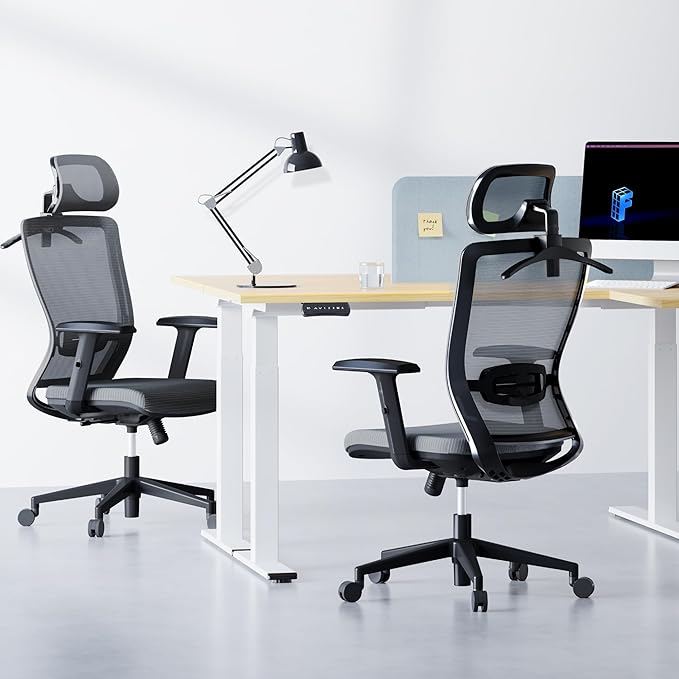 FLEXISPOT Ergonomic Office Chair, High Back Home Office Desk Chairs with Adjustable Lumbar Support, Armrests,90-130° Tilt Lock, Comfort Wide Cushion, Swivel Computer Gaming Chairs for Adults (Gray)