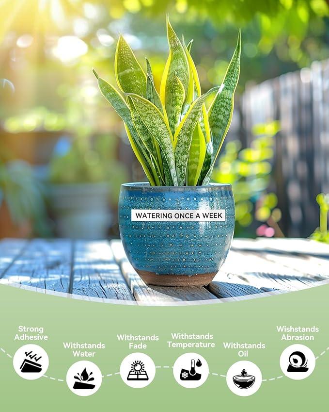 12mm 0.47 Laminated White Tape Tze Tz Label Compatible with Brother P-touch 1/2 Inch Black on White P Touch Label Maker TZe231 for PT-D210 1280 1750 PT-P300BT PT-P700BT Cube Plus Tape, 10-Pack