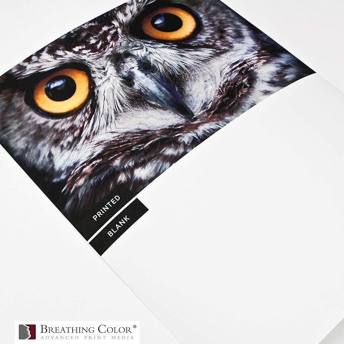 Vibrance Matte Photo Printer Paper 12 mil 230 gsm Matte Finish Premium Photo Paper Roll on 3in Core 10 inches x 100 ft Works with Most Inkjet Printer Professional Makes and Models Like Epson Canon HP