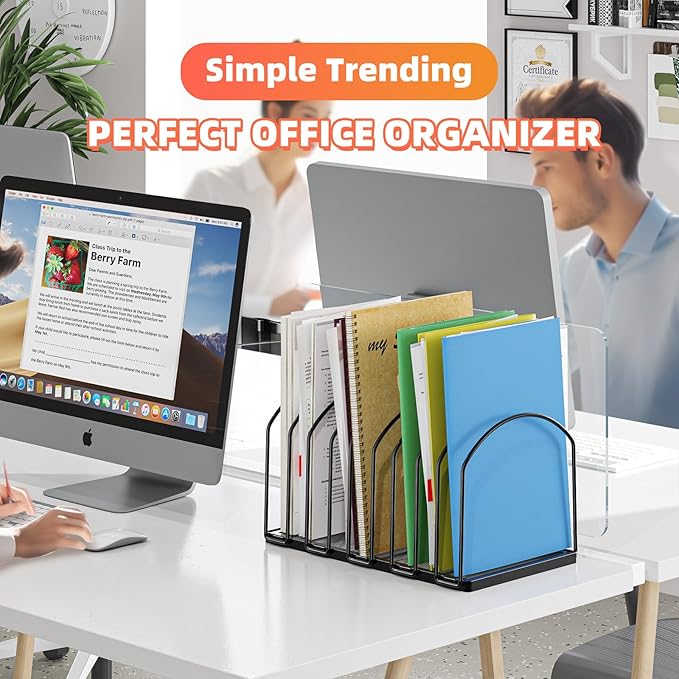Simple Trending 2 Pack 9 Section Metal File Sorter Organizer for Desk Home Office, Black