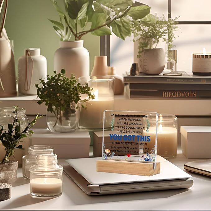 Inspirational Gifts Acrylic Sign with Wood Stand, Employee Appreciation Gifts Bedroom Office Living Room Desk Cubicle Table Shelf Decor, Encouragement Gifts for Women Coworker Friends Bestie