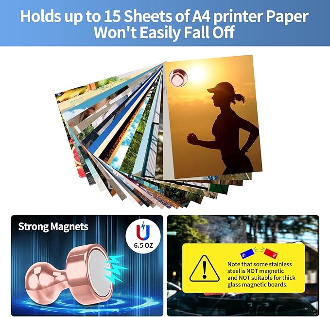 12Pack Rose Gold Fridge Magnets Refrigerator Magnets Adults Magnets for Whiteboard School Office Locker Kitchen Decorative Small and Strong