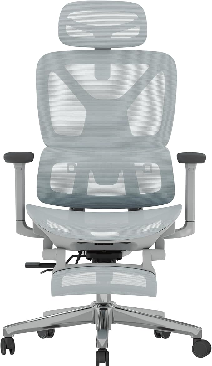 FLEXISPOT ErgoX Premium Ergonomic Office Chair with Footrest- Adjustable 3D Armrests, Dynamic Lumbar Support, Recline & Tilt Function, Mesh Seat, for Home & Office Use,Blue