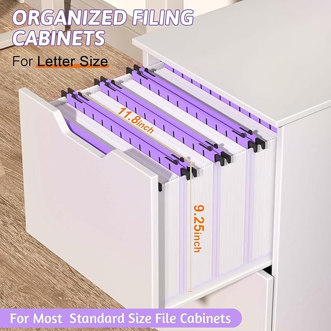 Extra Capacity Plastic Hanging File Folder Letter Size,12 Pack Reinforced Hang Folders with Heavy Duty 2 Inch Expansion,Durable Hanging Organizer Designed for Bulky Files, Medical Charts