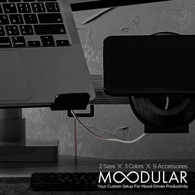 Moodular Add-ons Cable Organizer 2 Pack [Accessory Only - Requires Moodular Wooden Monitor Stand Slide Rails for Use] Black MSA-CO