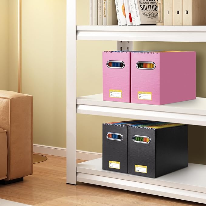 BALEINE File Organizer Box, Cardboard File Folder Organizer with Handle for Letter Size, Portable Collapsible Hanging Filing Box for Home Office Document Storage (2 Pack, White)