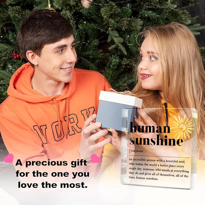 Human Sunshine Positive Affirmation Gifts for Leader Teacher Mentor Coworkers, Definition Desk Decor Acrylic Sign for Table Top Cubicle Room Office Decorative Signs