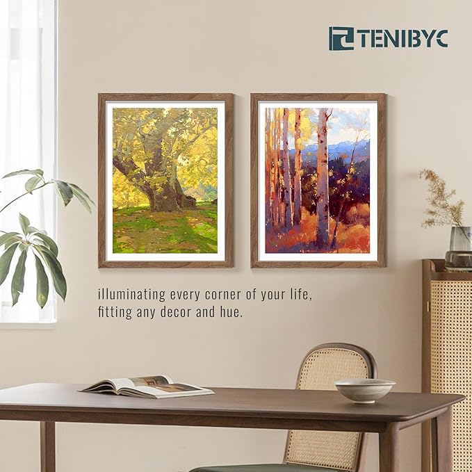 18x24 Frame Walnut 4 Pack, Brown Wood 18 x 24 Poster Frame, Display Pictures, Posters, Puzzles, Horizontal or Vertical Wall Hanging