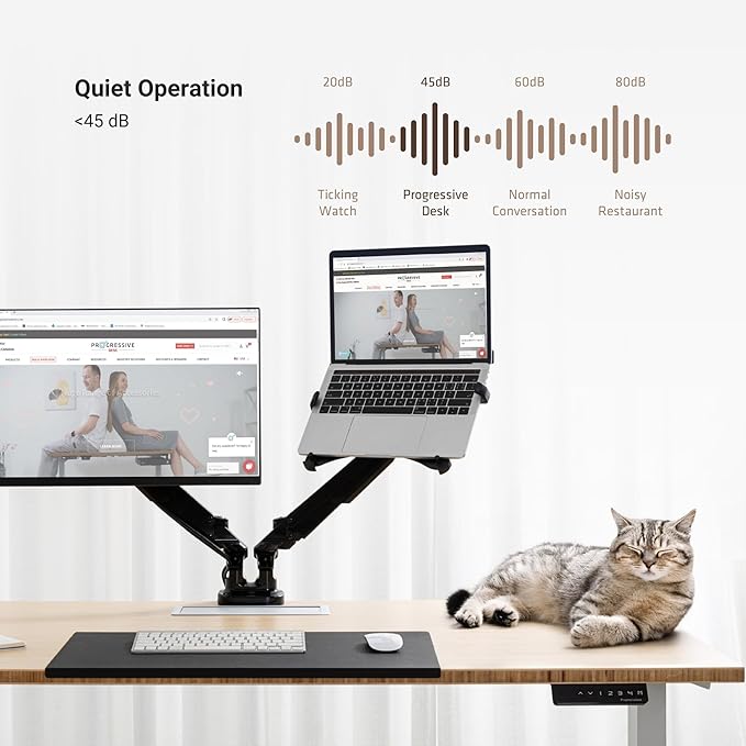 Progressive Desk Stand Up Adjustable Height Electric Standing Desk - 72" x 30" Dual Motor Table for Computer Home Office Workstation - Gray Frame, Bright Beech