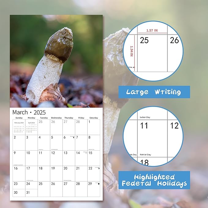 2025 Wall Calendar Funny Natures Dongs, January 2025 - December 2025, Funny Gag Gift for Adults, White Elephant Gift, 12 Months Organizer with D'ck Pics Nature Photos, 12" x 24" Opened
