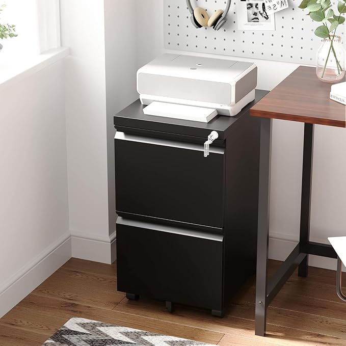 Letaya 2 Drawer Mobile File Cabinet with Lock, Under Desk Metal Rolling Filing Cabinets for Home Office Organizer Letters/Legal/A4 (Black- Requires Installation)