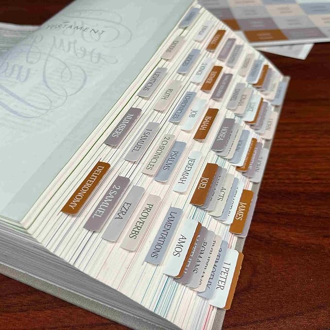 Thinkor Reposition Laminated Bible Tabs, Large Print Stickers, Easy to Read & Apply Bible Tabs for Women & Man (Winter Snow)