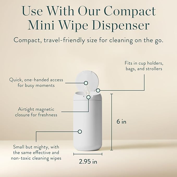 Biom Biodegradable Hand Sanitizing Mini Wipes 8-Pack Refill Kit - Kid-Safe | Plant-Based Hand Wipes for Home & Travel | Natural, Non-Toxic Wet Wipe with Aloe for Soft Skin | Eucalyptus Chill