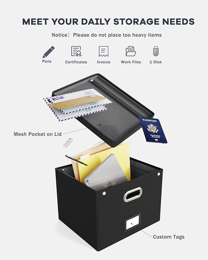 Oterri File Organizer Box with Lid,Large Hanging Filing Box with Mesh Pocket, Document c for Letter Files, Portable Storage Case with Smooth Sliding Rail for Office&Home (1 PCS, Black)