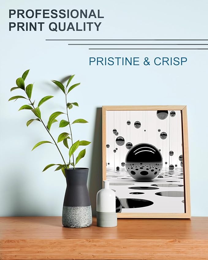 LEMERO 245XL Ink Cartridge Replacement for Canon 245XL Black Ink PG-245 245 XL Black Ink Cartridge Work with Canon Pixma MG2522 MG2500 MG2520 MX490 MX492 TR4520 TR4500 TS3322 TS202 Printer Ink (2Pack)