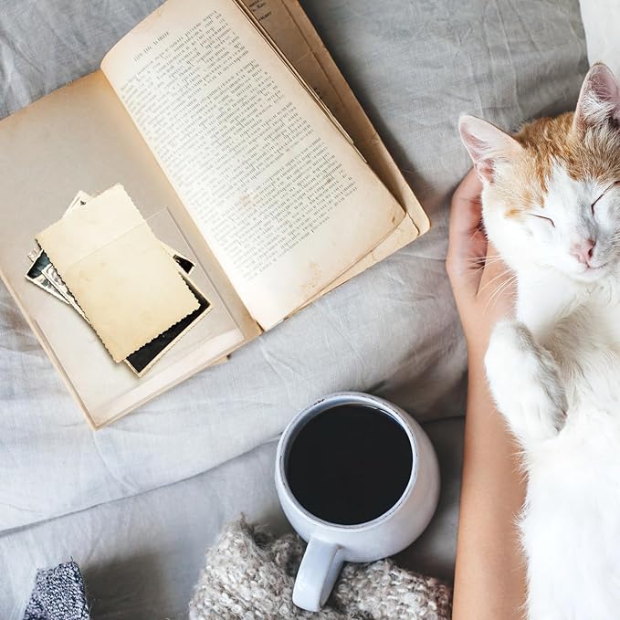 Junkin 40 Pcs Adhesive Pockets for Planners Index Card Pockets Planner Accessories Folder Self Sticky Clear Ideal Holder Top Open Add Storage Space to Notebooks Journal Office School Vinyl, 2 Styles