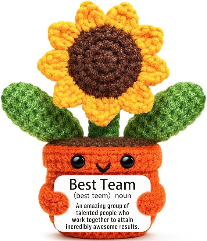 Sensi Blue Cute Sunflower Keepsake, Team Gifts for Employees, Inspirational Recognition Present for Coworkers, Employee Appreciation Award, Best Team Ever Office Decor