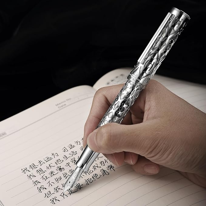 Hongdian D1 Piston Fountain Pen Fine Nib, Hollow Skeleton & Resin with Metal Case Set (Silver)