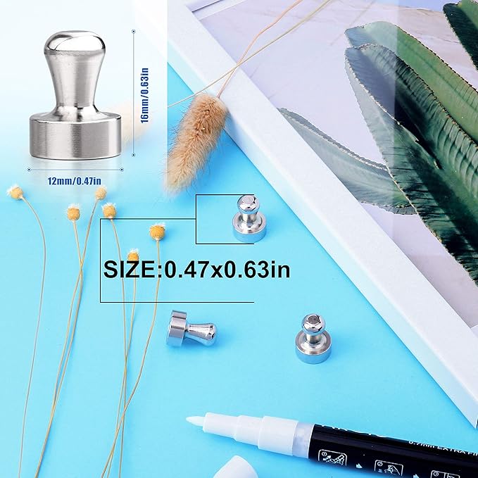 LOVIMAG 30 Pcs Refrigerator Magnets, Fridge Magnets, Strong Whiteboard Magnets, Magnetic Push Pins, Strong Metal Magnets for Fridge, Whiteboard, Office, Classroom, Map, Kitchen