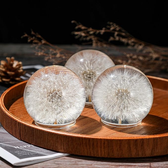 Dandelion Paperweight – Real Dandelion in Crystal Glass Ball, Unique Gift & Home Office Decor, Symbol of Luck, Hope, and Wishes for Birthday, Graduation, Wedding