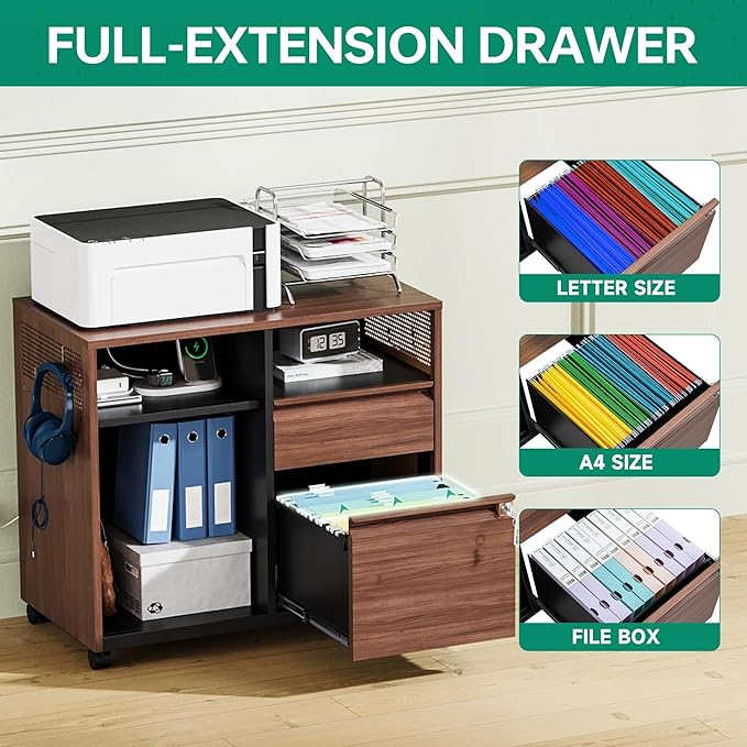 Letaya Mobile 2 Drawer File Cabinet with Lock, Metal Lateral Printer Stand Filing Storage Cabinets with Shelves for Home Office-A4/F4/Letter