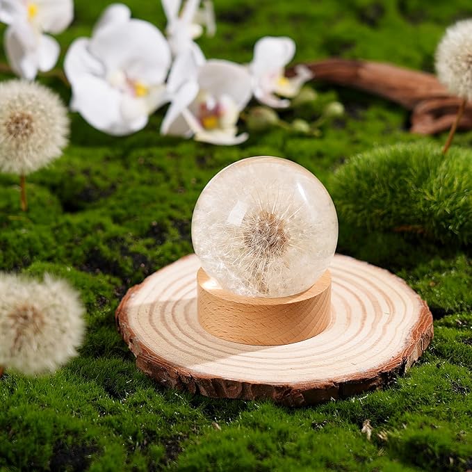 Dandelion Resin Paperweight – Real Dandelion Wish Ball, Unique Home & Office Decor, Symbol of Luck & Appreciation, A Thoughtful Gift & Keepsake for Birthdays, Weddings & Graduations