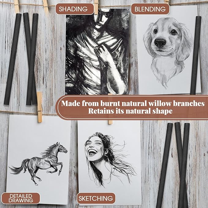 Gueevin 25 Pcs Willow Charcoal Sticks, Willow Charcoal, Artists, Beginners, Students, Perfect for Sketching, Drawing, Shading, and Fine Art (7-9mm)