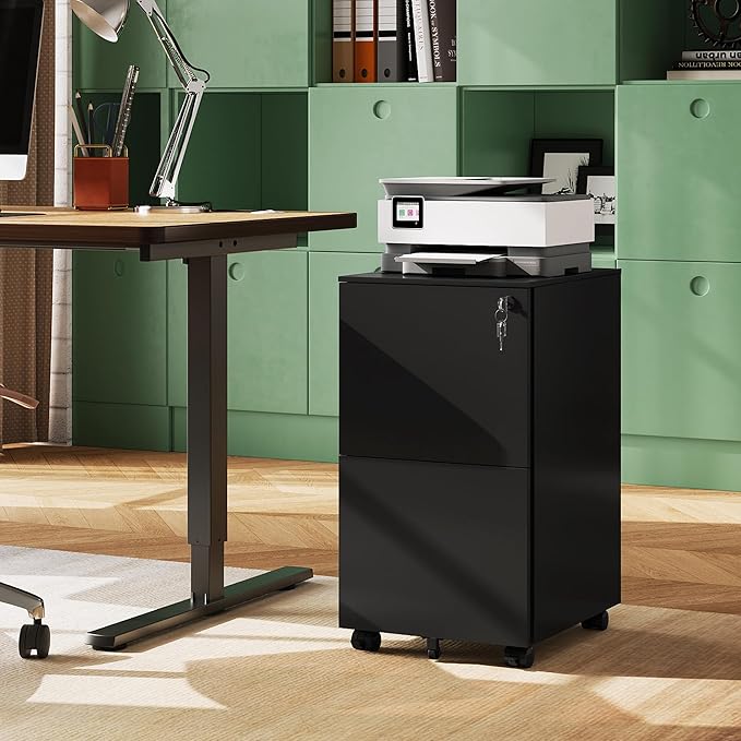 DEVAISE 2-Drawer File Cabinet with Lock, Rolling Metal Filing Cabinet on Wheels for Home Office, Fully Assembled Under Desk Storage Organizer, Black, 17" D x 15" W x 27" H