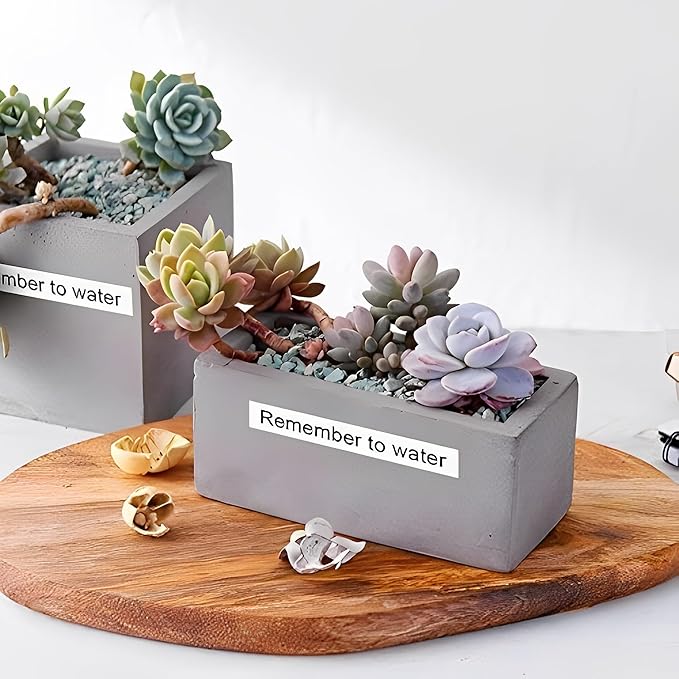 MarkDomain TZe-251 24mm Label Tape Compatible Brother P Touch TZe TZ Tape 24mm 0.94 Laminated White TZe-251 TZe251 TZ251 1 Inch for Ptouch PT-D600 PT-D610BT PTP700 PTP710BT Label Maker, 3-Pack