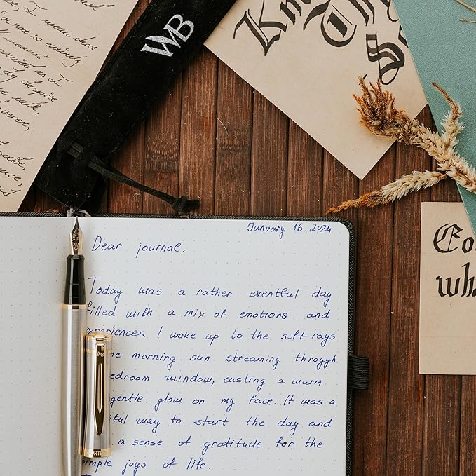 Wordsworth & Black Fountain Pen Set, 18K Gilded Medium Nib, Includes 24 Pack Ink Cartridges, Ink Refill Converter & Gift Pouch, Gold Finish, Calligraphy, [Silver Gold], Perfect for Men & Women