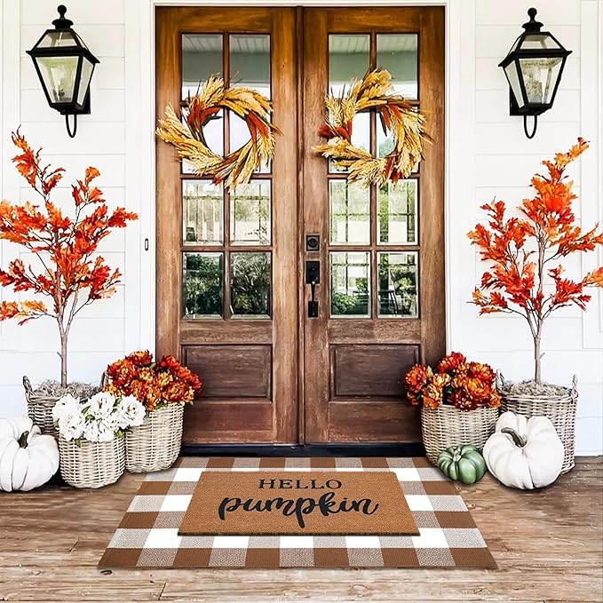 Buffalo Plaid Outdoor Rugs, 28'' x 43'' Coffe and White Checkered Area Rug, Layering Rug for Hello/Welcome Door Mat, Washable Cotton Woven Farmhouse Mat for Front Porch Décor